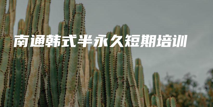 南通韩式半永久短期培训插图