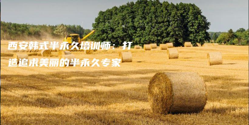 西安韩式半永久培训师：打造追求美丽的半永久专家插图