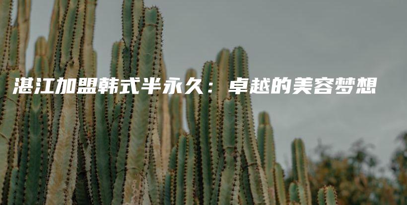 湛江加盟韩式半永久：卓越的美容梦想插图