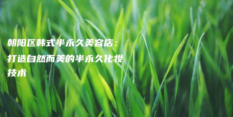 朝阳区韩式半永久美容店：打造自然而美的半永久化妆技术插图