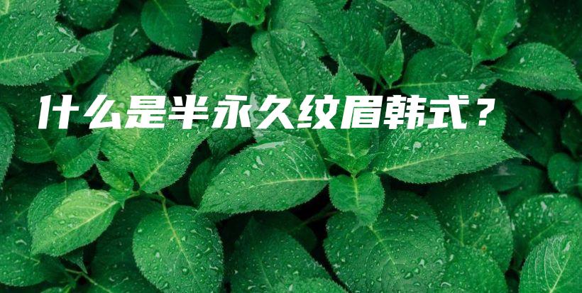 什么是半永久纹眉韩式？插图