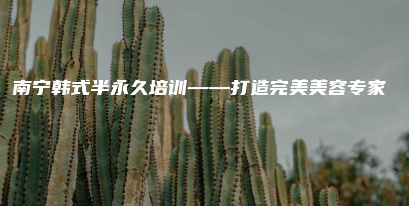 南宁韩式半永久培训——打造完美美容专家插图