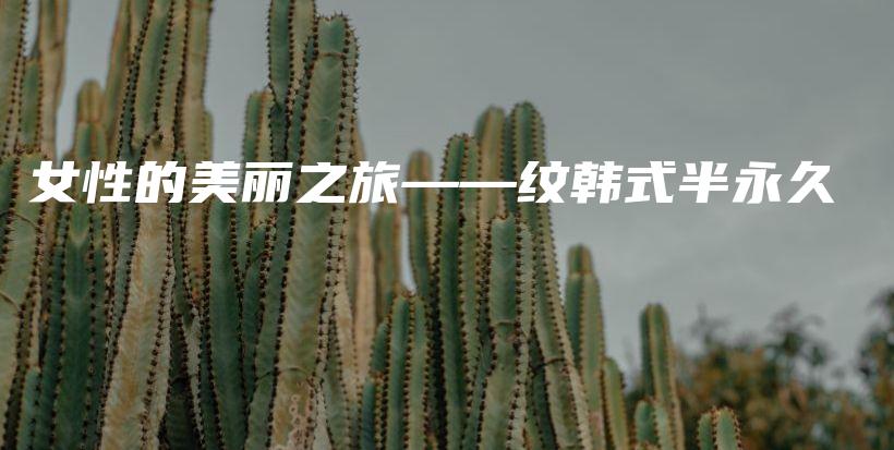 女性的美丽之旅——纹韩式半永久插图