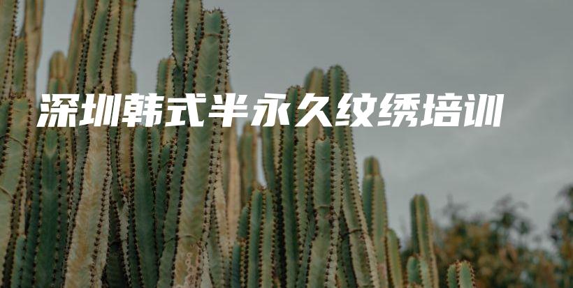 深圳韩式半永久纹绣培训插图