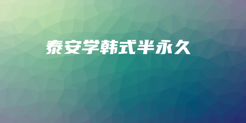 泰安学韩式半永久插图