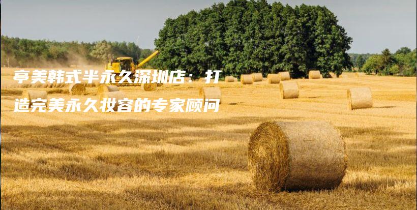 亭美韩式半永久深圳店：打造完美永久妆容的专家顾问插图