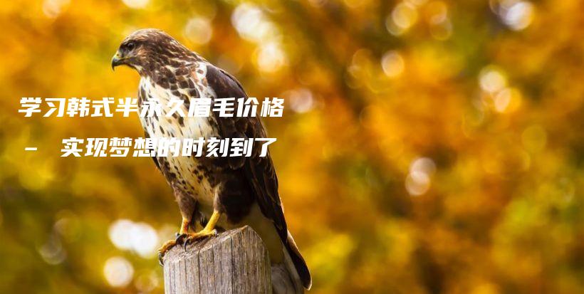 学习韩式半永久眉毛价格 – 实现梦想的时刻到了插图
