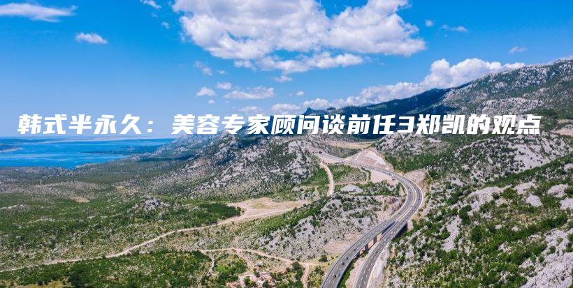 韩式半永久：美容专家顾问谈前任3郑凯的观点插图
