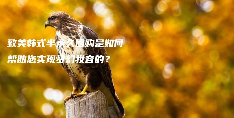 致美韩式半永久团购是如何帮助您实现梦幻妆容的？插图