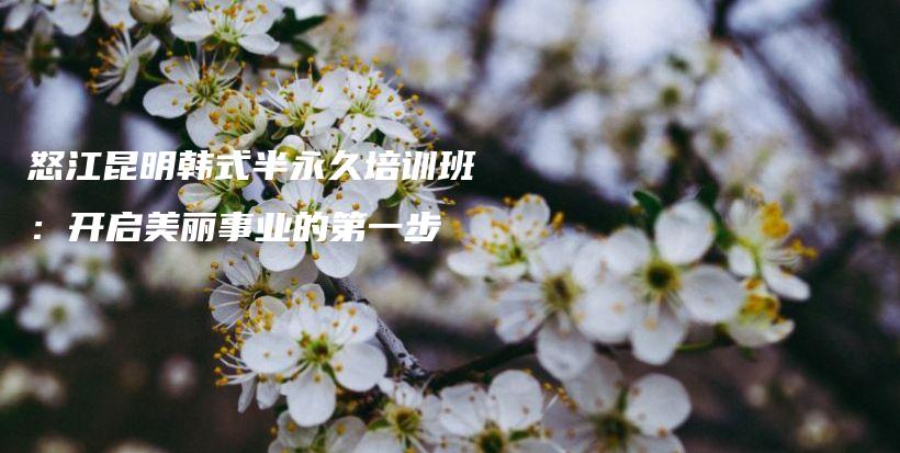 怒江昆明韩式半永久培训班：开启美丽事业的第一步插图