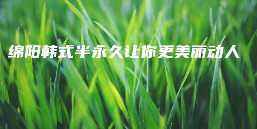 绵阳韩式半永久让你更美丽动人插图