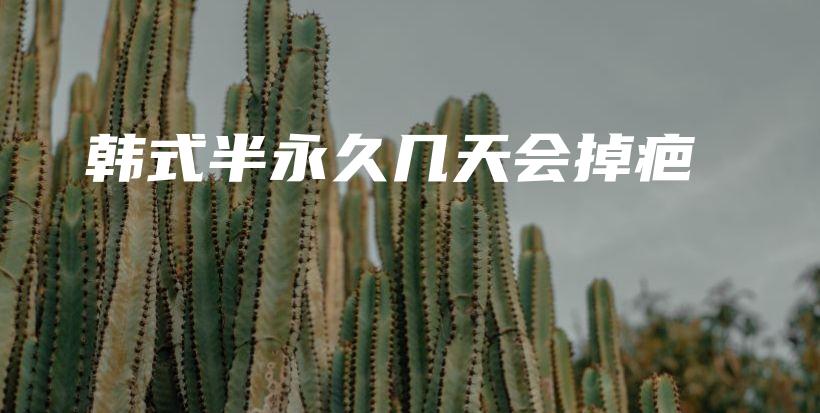 韩式半永久几天会掉疤插图