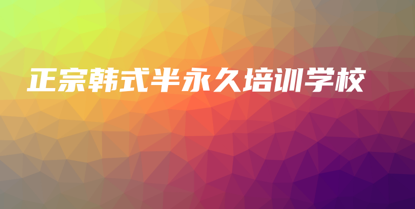 正宗韩式半永久培训学校插图