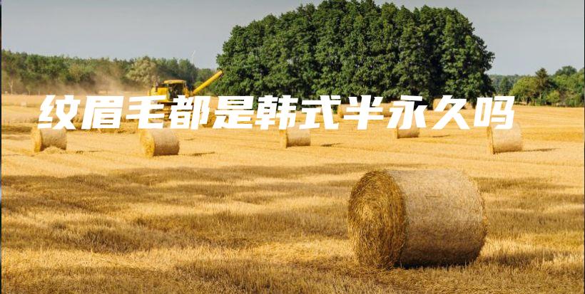 纹眉毛都是韩式半永久吗插图