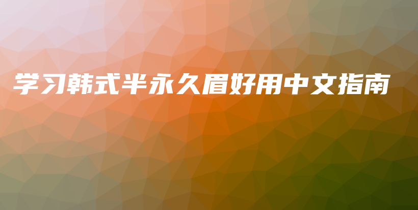 学习韩式半永久眉好用中文指南插图