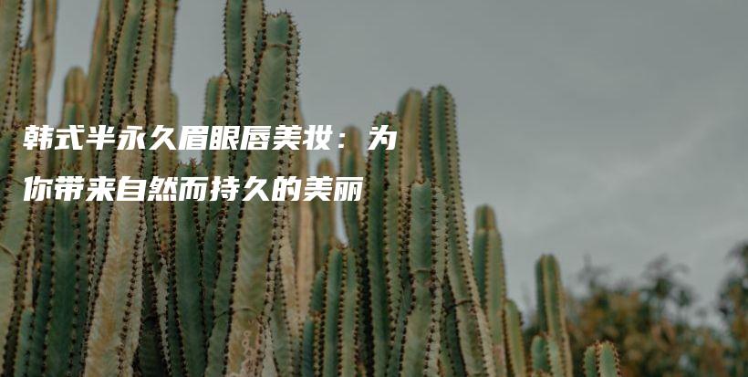 韩式半永久眉眼唇美妆：为你带来自然而持久的美丽插图