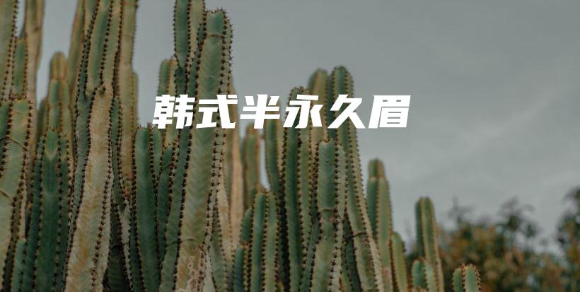 韩式半永久眉插图