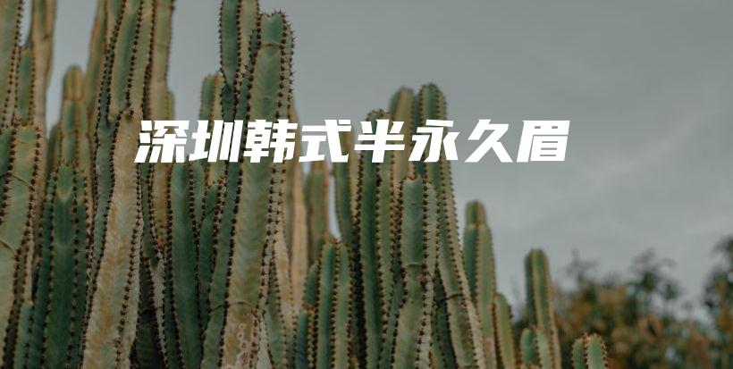 深圳韩式半永久眉插图