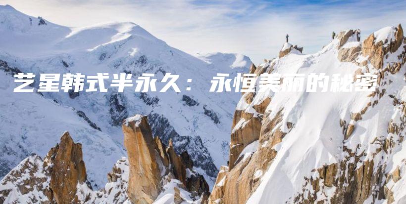 艺星韩式半永久：永恒美丽的秘密插图