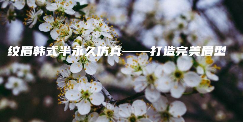 纹眉韩式半永久仿真——打造完美眉型插图