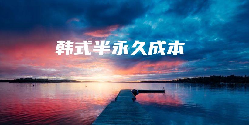 韩式半永久成本插图