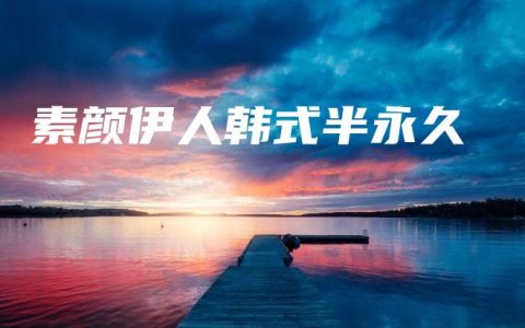 素颜伊人韩式半永久