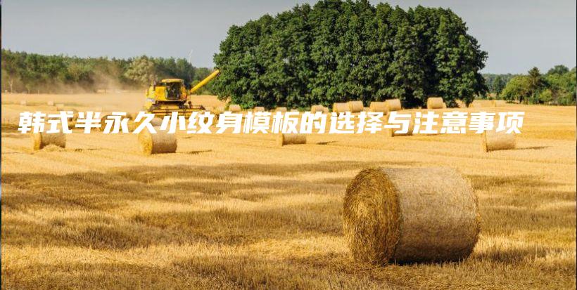 韩式半永久小纹身模板的选择与注意事项插图