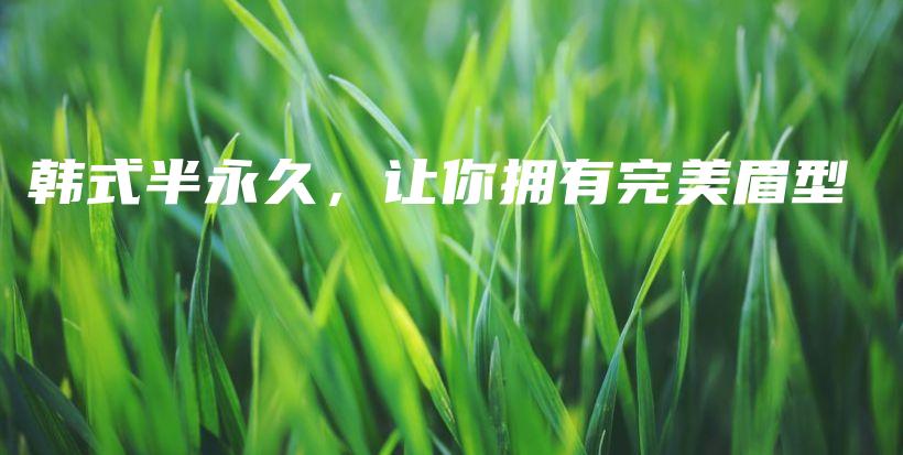 韩式半永久，让你拥有完美眉型插图