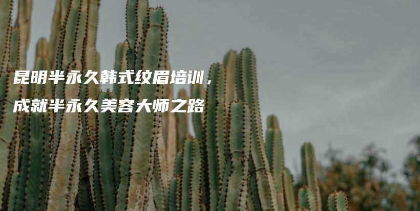 昆明半永久韩式纹眉培训，成就半永久美容大师之路插图