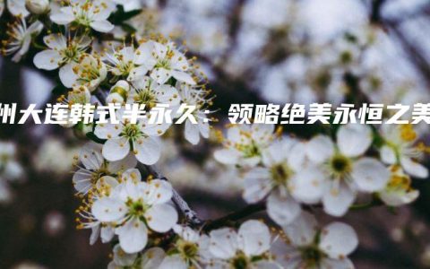 扬州大连韩式半永久：领略绝美永恒之美