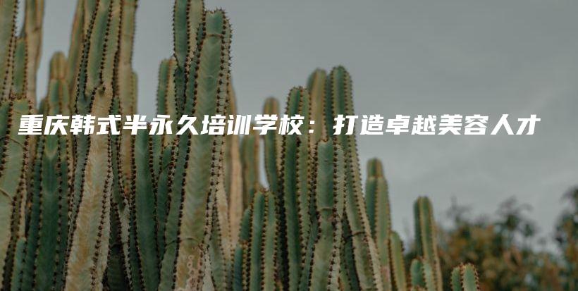 重庆韩式半永久培训学校：打造卓越美容人才插图