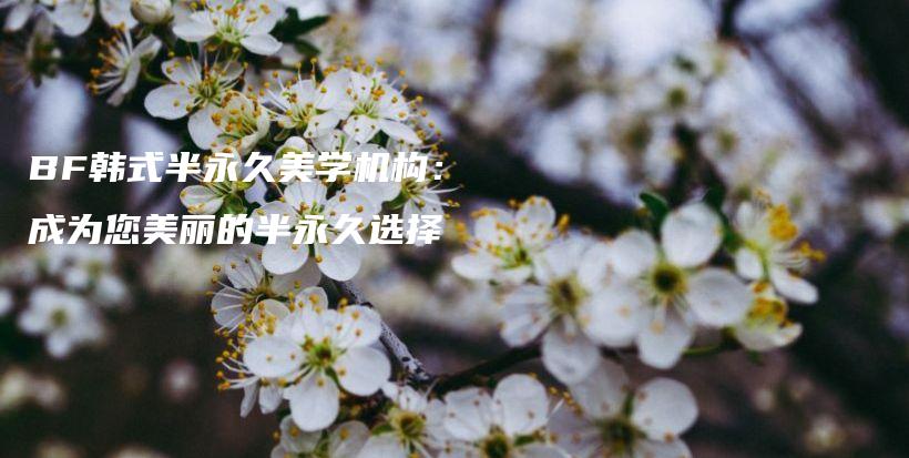 BF韩式半永久美学机构：成为您美丽的半永久选择插图