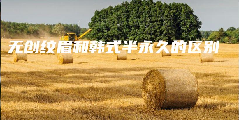 无创纹眉和韩式半永久的区别插图