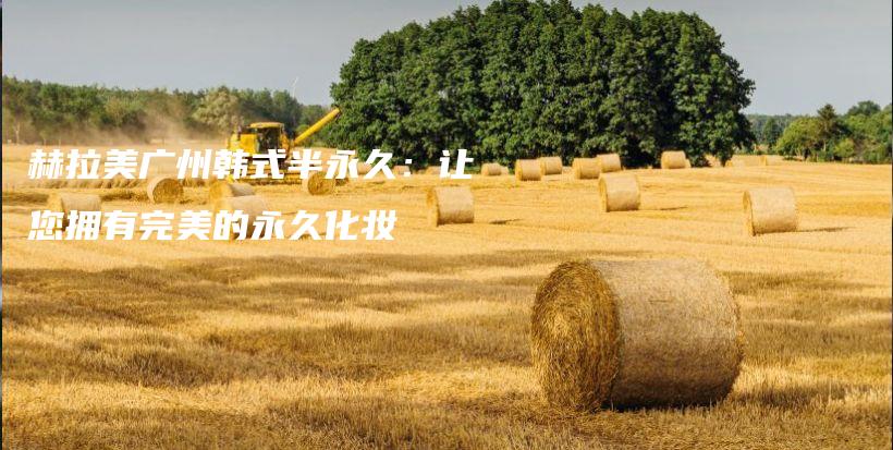 赫拉美广州韩式半永久：让您拥有完美的永久化妆插图