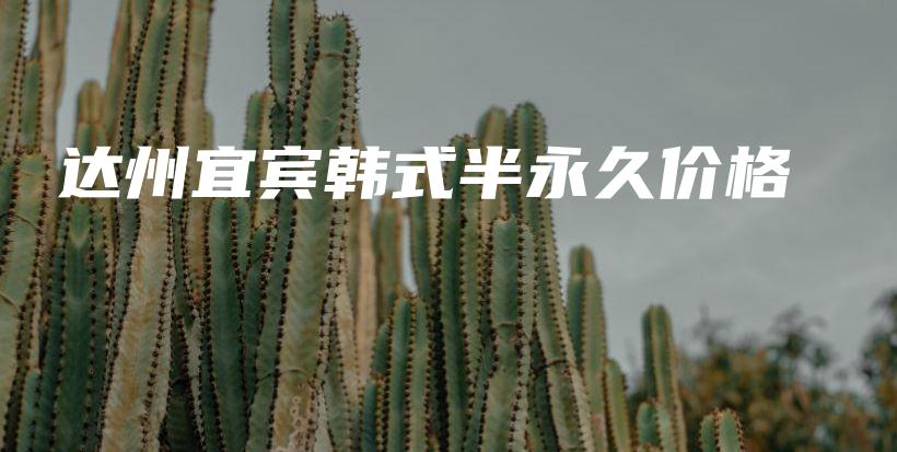 达州宜宾韩式半永久价格插图