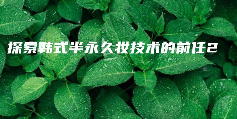 探索韩式半永久妆技术的前任2插图