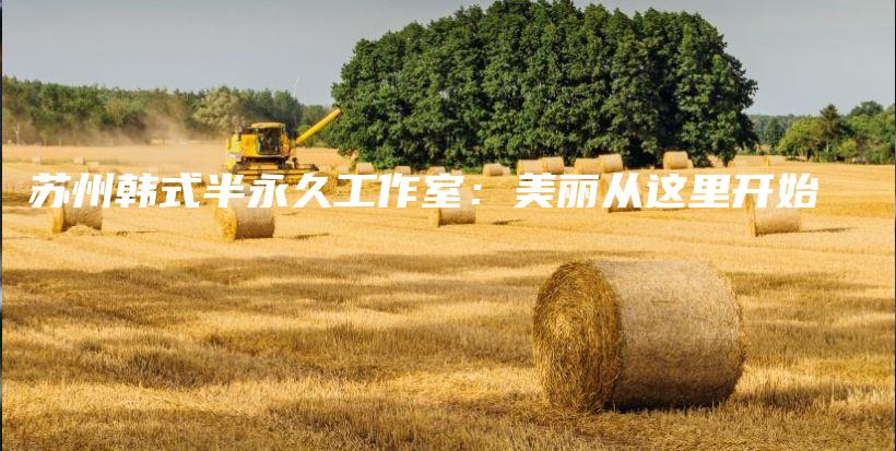 苏州韩式半永久工作室：美丽从这里开始插图