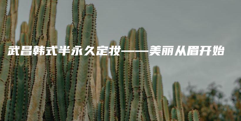 武昌韩式半永久定妆——美丽从眉开始插图