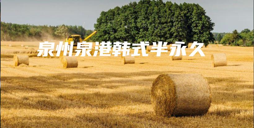 泉州泉港韩式半永久插图