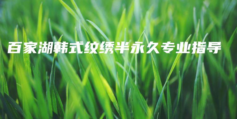 百家湖韩式纹绣半永久专业指导插图