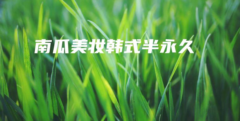 南瓜美妆韩式半永久插图