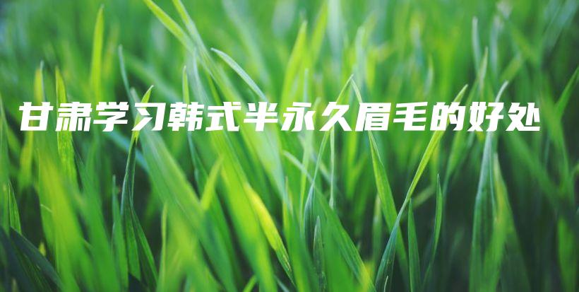 甘肃学习韩式半永久眉毛的好处插图