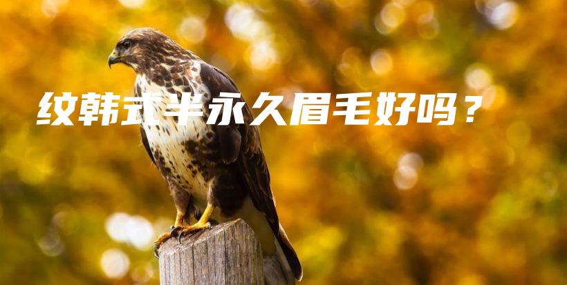 纹韩式半永久眉毛好吗？插图