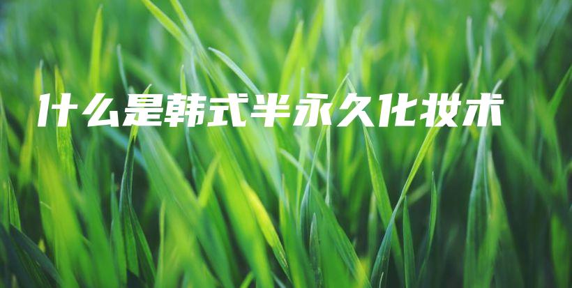 什么是韩式半永久化妆术插图