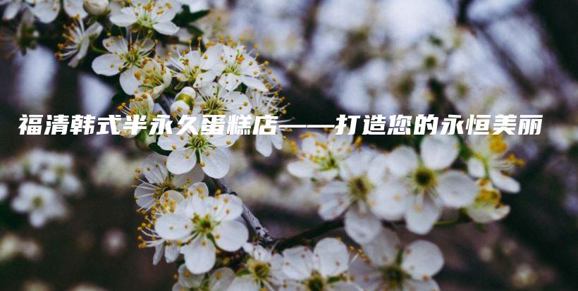 福清韩式半永久蛋糕店——打造您的永恒美丽插图