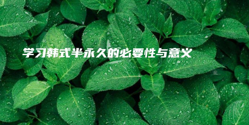 ★ 学习韩式半永久的必要性与意义 ★插图