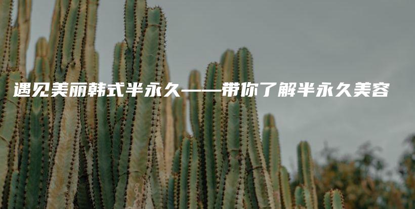 遇见美丽韩式半永久——带你了解半永久美容插图