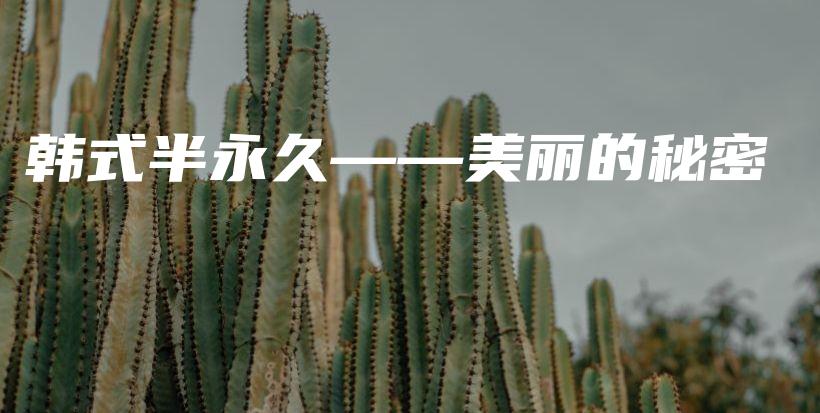 韩式半永久——美丽的秘密插图
