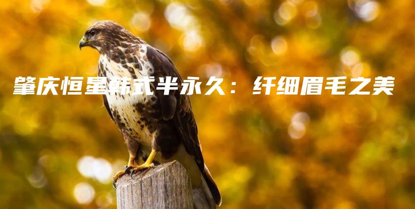 肇庆恒星韩式半永久：纤细眉毛之美插图