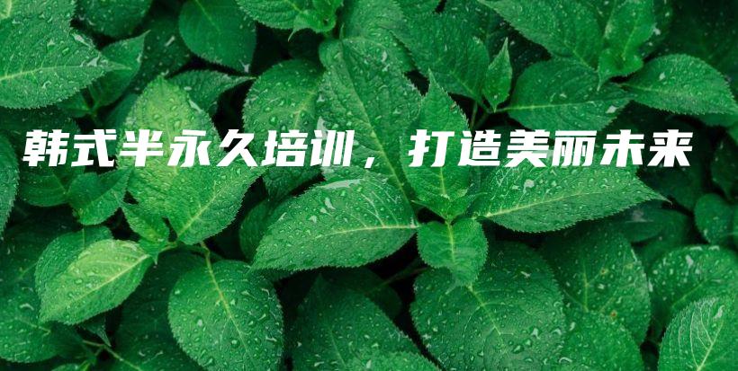 韩式半永久培训，打造美丽未来插图